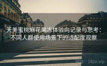 天美蜜桃麻花果冻体验向记录与思考：不同人群使用场景下的适配度观察