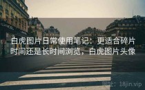 白虎图片日常使用笔记：更适合碎片时间还是长时间浏览，白虎图片头像