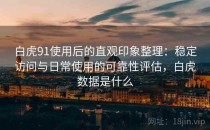 白虎91使用后的直观印象整理：稳定访问与日常使用的可靠性评估，白虎数据是什么