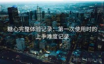 糖心完整体验记录：第一次使用时的上手难度记录