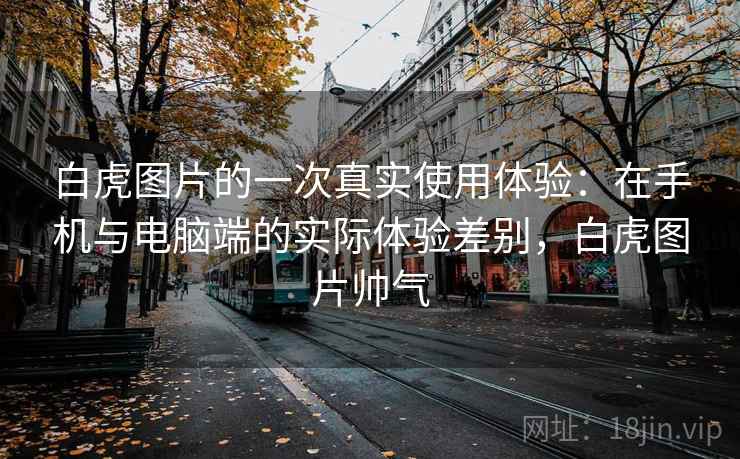 白虎图片的一次真实使用体验:在手机与电脑端的实际体验差别,白虎图片帅气 第2张 白虎图片的一次真实使用体验:在手机与电脑端的实际体验差别,白虎图片帅气 第2张
