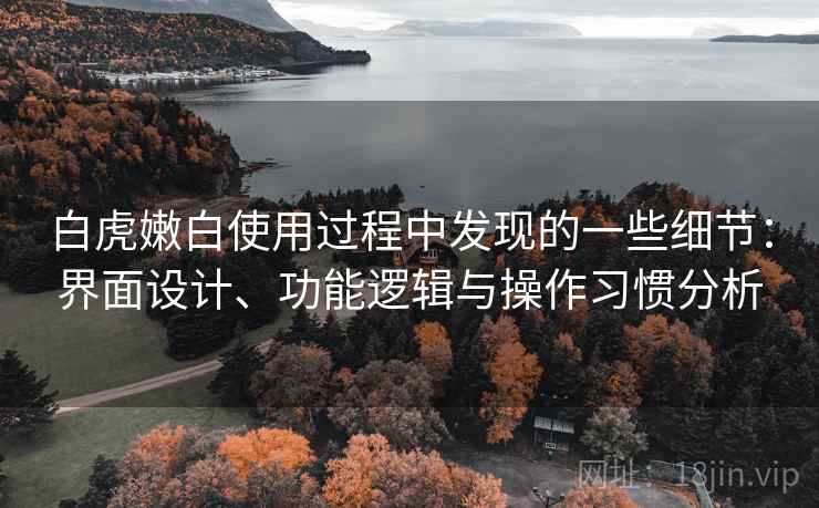 白虎嫩白使用过程中发现的一些细节:界面设计、功能逻辑与操作习惯分析 第1张 白虎嫩白使用过程中发现的一些细节:界面设计、功能逻辑与操作习惯分析 第1张