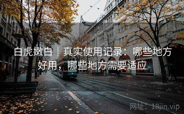 白虎嫩白|真实使用记录:哪些地方好用,哪些地方需要适应 第2张 白虎嫩白|真实使用记录:哪些地方好用,哪些地方需要适应 第2张