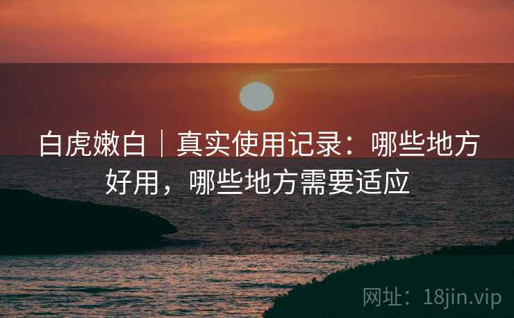 白虎嫩白|真实使用记录:哪些地方好用,哪些地方需要适应 第1张 白虎嫩白|真实使用记录:哪些地方好用,哪些地方需要适应 第1张