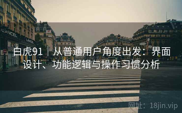 白虎91|从普通用户角度出发:界面设计、功能逻辑与操作习惯分析 第2张 白虎91|从普通用户角度出发:界面设计、功能逻辑与操作习惯分析 第2张