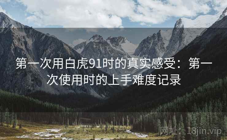 第一次用白虎91时的真实感受：第一次使用时的上手难度记录  第1张
