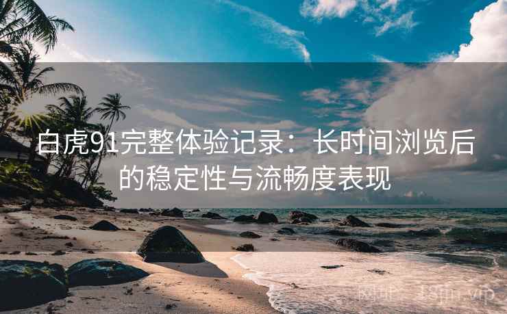 白虎91完整体验记录:长时间浏览后的稳定性与流畅度表现 第2张 白虎91完整体验记录:长时间浏览后的稳定性与流畅度表现 第2张