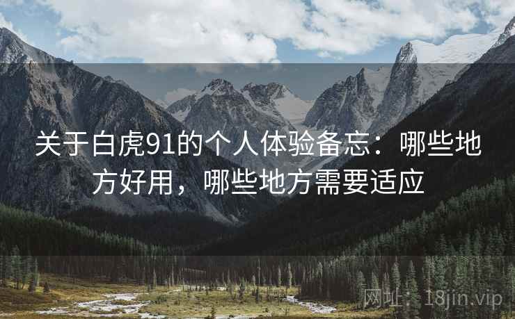 关于白虎91的个人体验备忘:哪些地方好用,哪些地方需要适应 第1张 关于白虎91的个人体验备忘:哪些地方好用,哪些地方需要适应 第1张