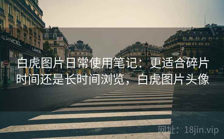 白虎图片日常使用笔记:更适合碎片时间还是长时间浏览,白虎图片头像 第1张 白虎图片日常使用笔记:更适合碎片时间还是长时间浏览,白虎图片头像 第1张