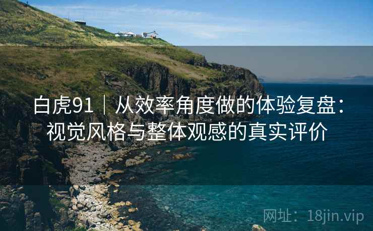 白虎91|从效率角度做的体验复盘:视觉风格与整体观感的真实评价 第2张 白虎91|从效率角度做的体验复盘:视觉风格与整体观感的真实评价 第2张