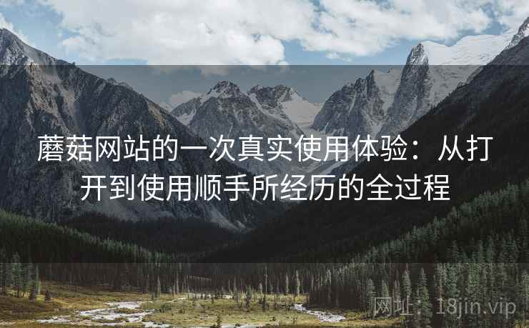蘑菇网站的一次真实使用体验:从打开到使用顺手所经历的全过程 第1张 蘑菇网站的一次真实使用体验:从打开到使用顺手所经历的全过程 第1张